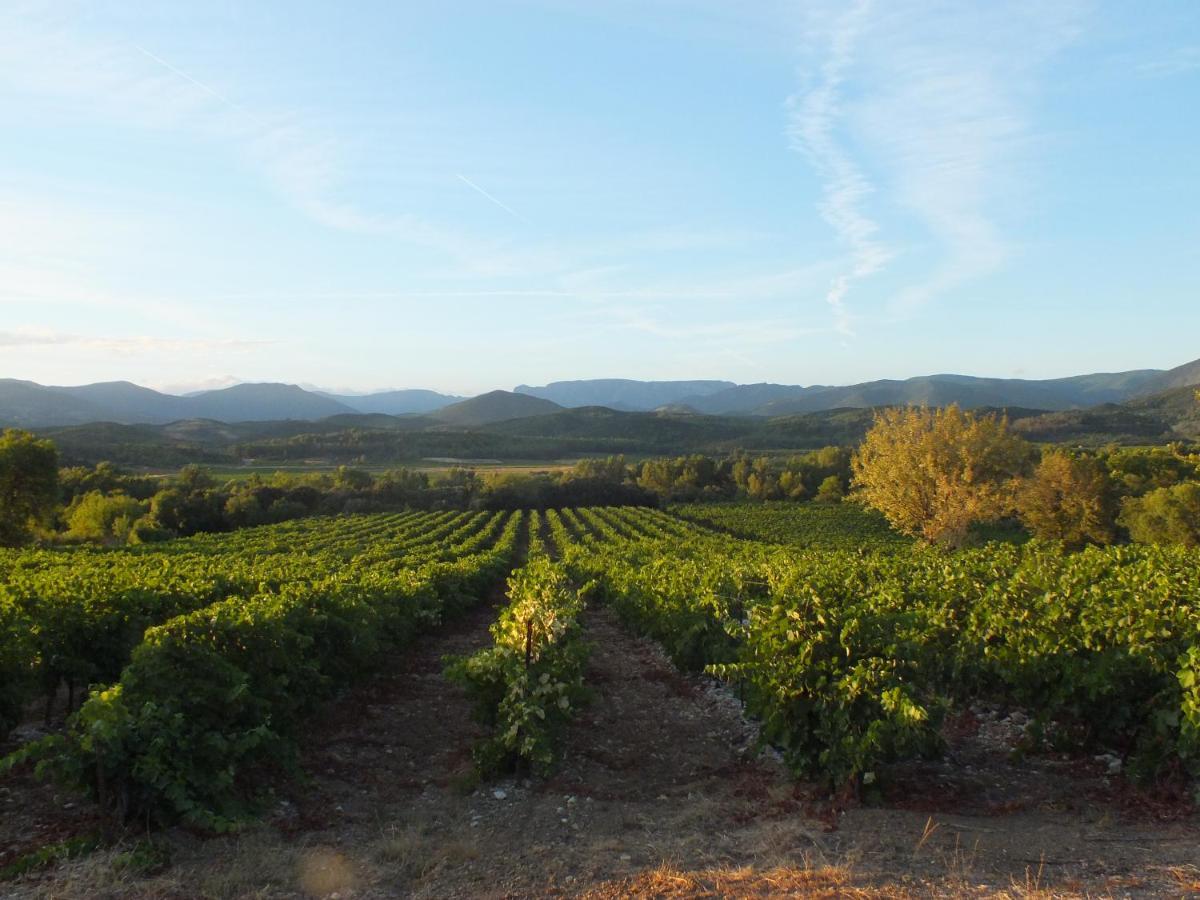 Prades-sur-Vernazobre Sur La Bonnefooi B&B 외부 사진
